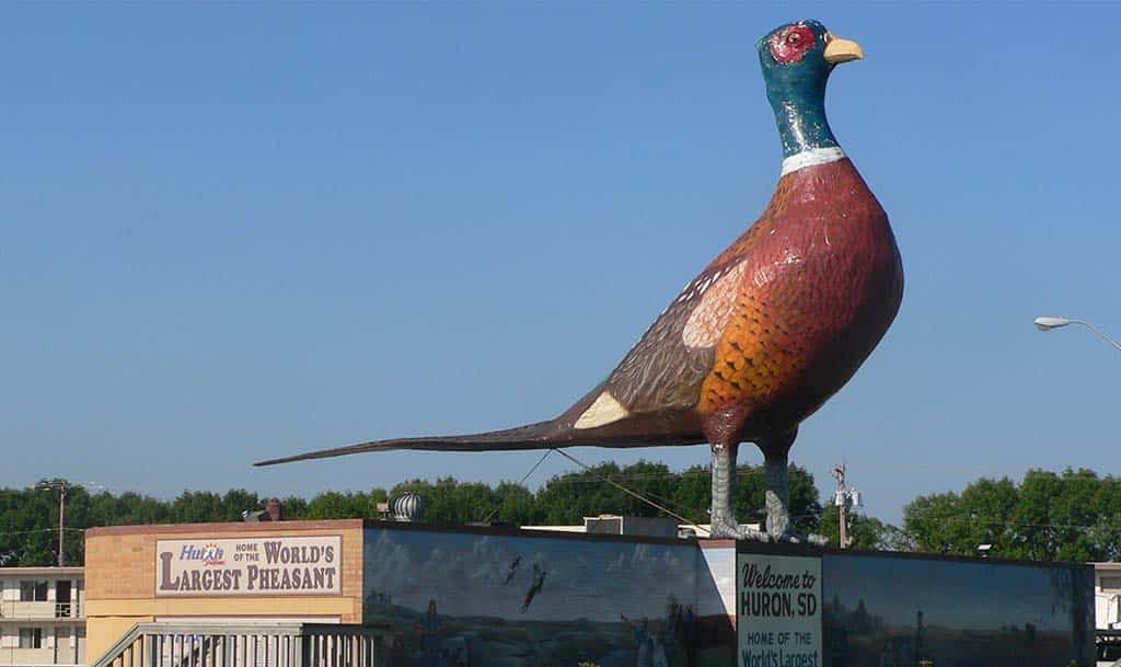 A large pheasant statue in Huron, South Dakota.